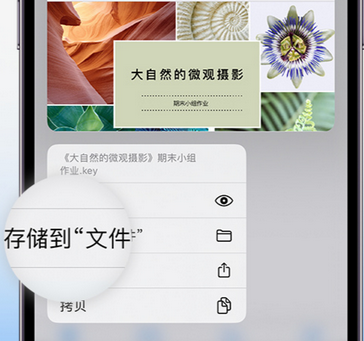 梁平apple维修中心分享iPhone文件应用中存储和找到下载文件