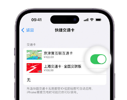 梁平apple维修点分享iPhone上更换Apple Pay快捷交通卡手绘卡面 