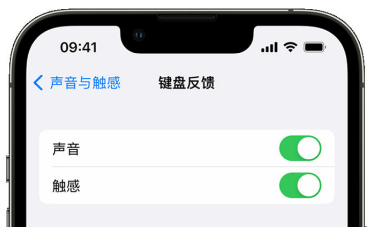 梁平苹果手机维修分享iPhone 14触感键盘使用方法 