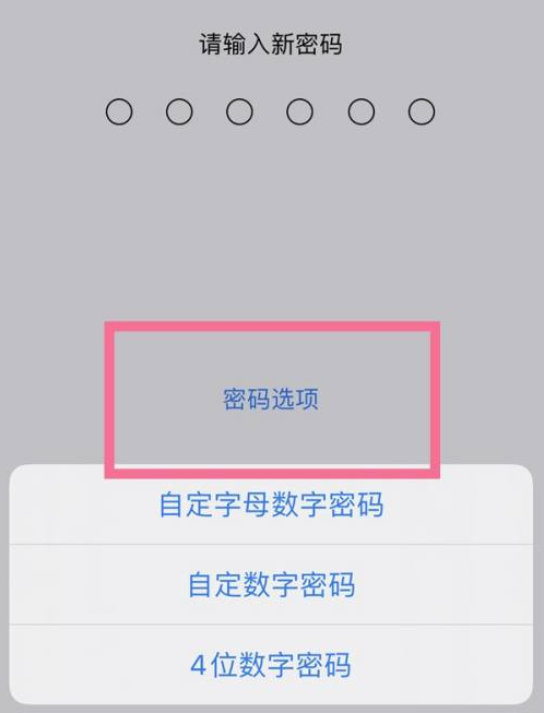 梁平苹果14维修分享iPhone 14plus设置密码的方法 